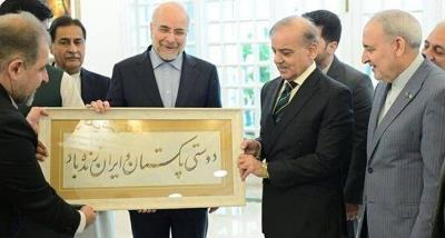 Visit of the Honorable Speaker of the Islamic Parliament to Pakistan